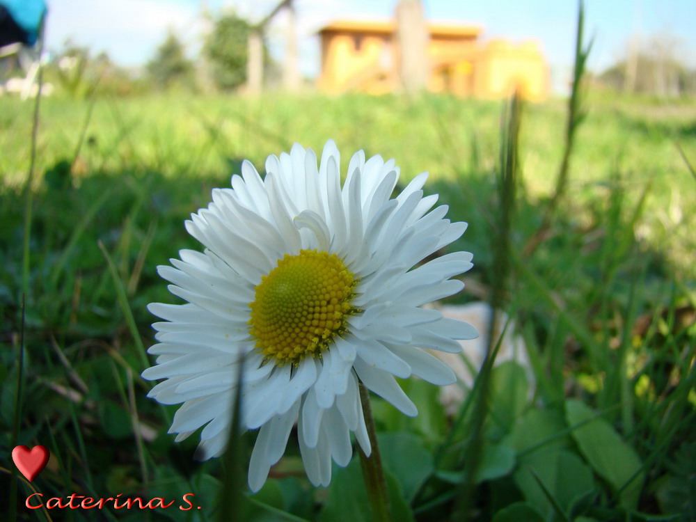 Aria di primavera...